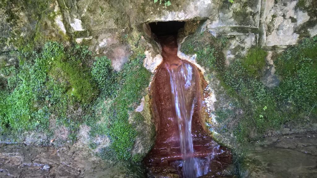 Privát Bene Apartman Vyšné Ružbachy Kültér fotó
